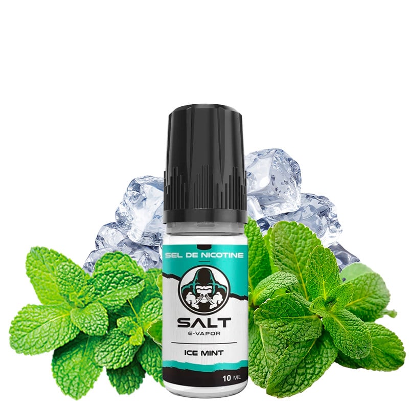 E-liquid Ice Mint - Nic salts - Salt E vapor 10 ml