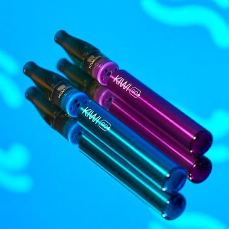 Kiwi GO PLUS cartridges - Grape Ice - Kiwi Vapor | Pack x2